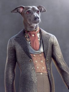how-to-make-dog-clothes-from-human-clothes